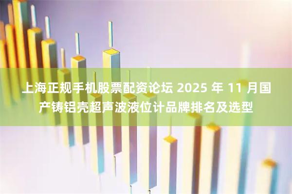 上海正规手机股票配资论坛 2025 年 11 月国产铸铝壳超声波液位计品牌排名及选型