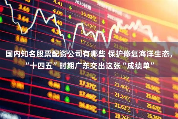 国内知名股票配资公司有哪些 保护修复海洋生态，“十四五”时期广东交出这张“成绩单”