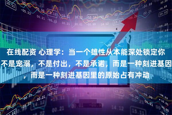 在线配资 心理学：当一个雄性从本能深处锁定你时，最先出卖他的不是宠溺，不是付出，不是承诺，而是一种刻进基因里的原始占有冲动